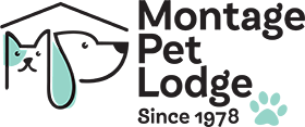 Montage Pet Lodge