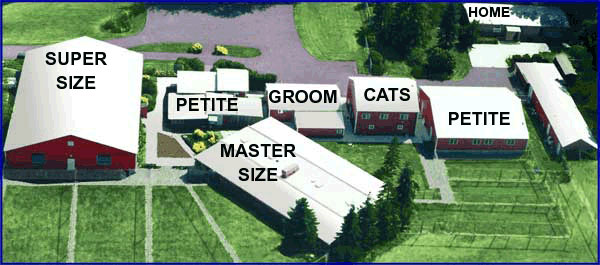 Panoramic view of Montage Pet Lodge