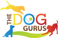 dog-gurus