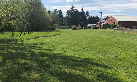 Expansive grass field for premier pet care in Vancouver WA